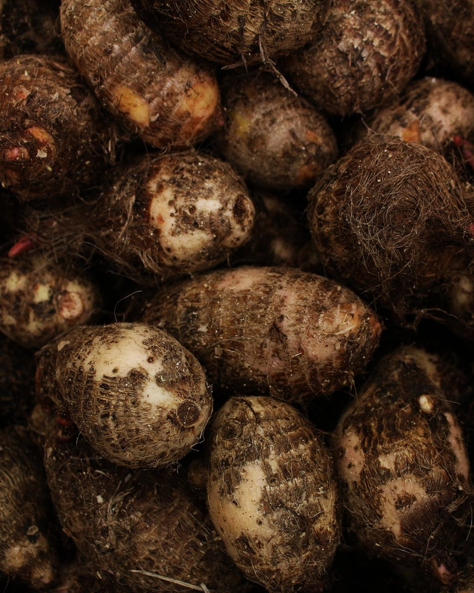 drkasenene's tweet photo. At meal times, when serving carbohydrate-rich foods, choose root vegetables.

- Yams
- Celery
- Onions
- Carrots 
- Cassava 
- Beet root 
- Sweet potatoes 

These are better than posho, white rice, chapati and refined grains. 

Remember only 1/4 of plate. https://t.co/mkuSJjnyF1