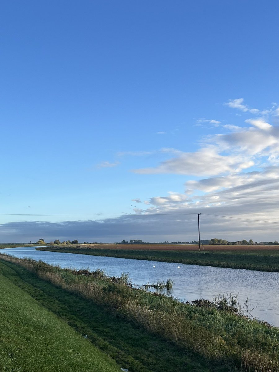 neilsta84's tweet image. Bagged a load of rubbish dumped in the #countryside then found this fly tip on the way home #reported #flytip #cleanupbritain #thewomblesofspaldingcommon