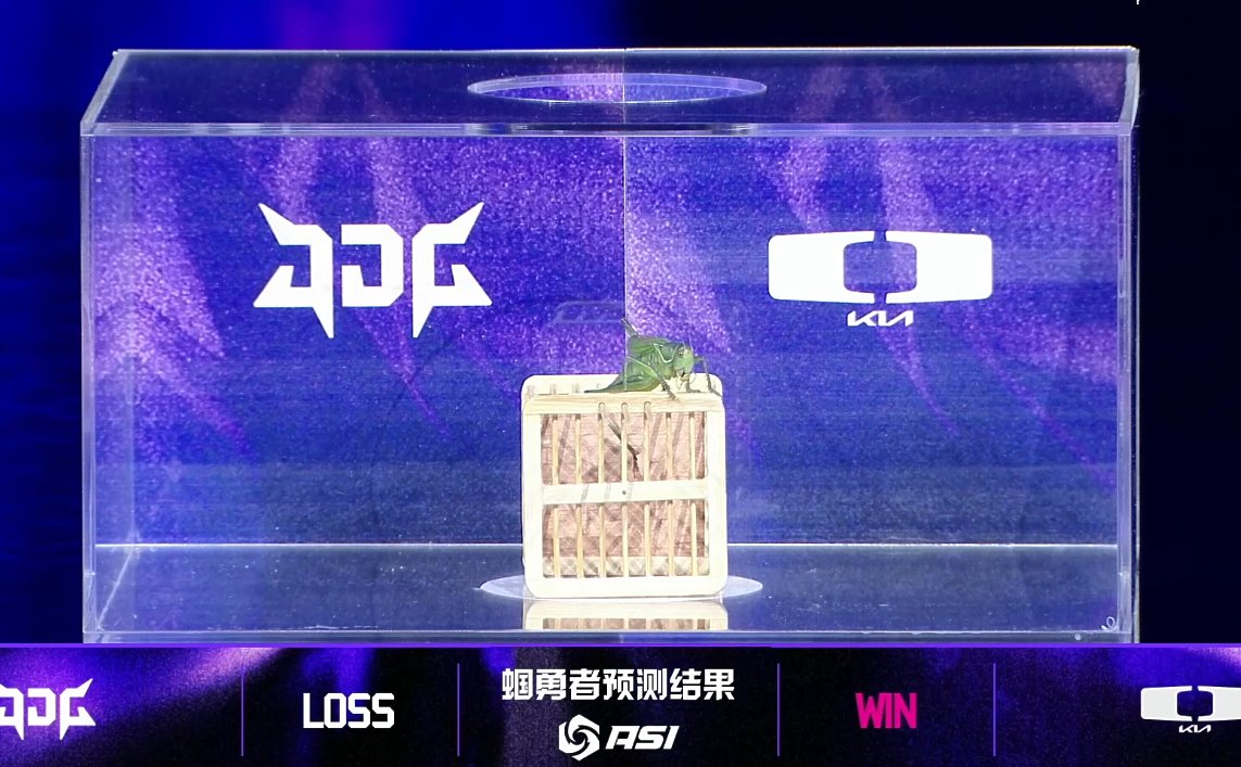 특이점이 온 롤 대회.... 메뚜기는 무엇을 선택하려고 나온것인가... 코인 토스일까.. 승부 예측일까..