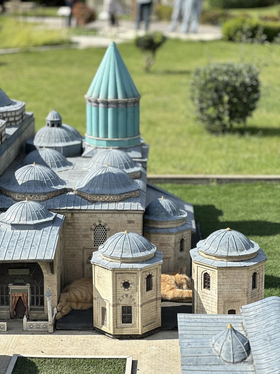 İstanbul Kedisi Konyada :) <a href="/miniaturkmuzesi/">Miniatürk</a> 

#İstanbulkedisi