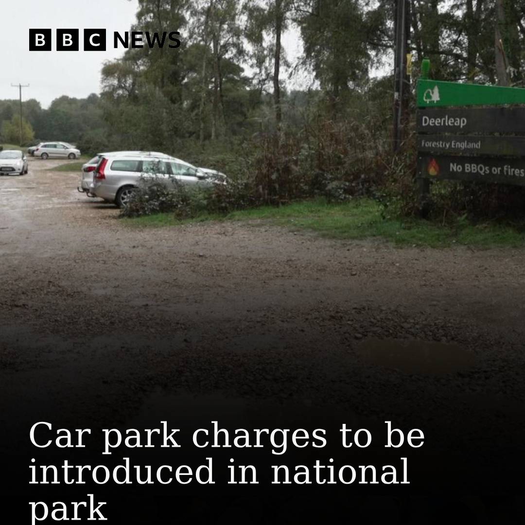BBC Hampshire & Isle of Wight tweet media