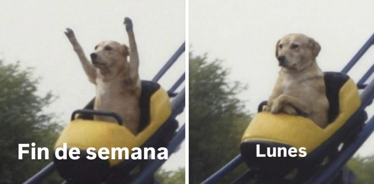 Amigos!! Andamos en búsqueda de madrinas y padrinos mágicos para pagar nuestro alimento, medicamentos, renta, luz, colaboradores, servicios veterinarios, etc…  Su ayuda es muy importante para nuestras vidas. 
Porfa ayúdennos. 
Les agradecemos infinito su apoyo.
🙏🏼🐾🐾
BBVA: