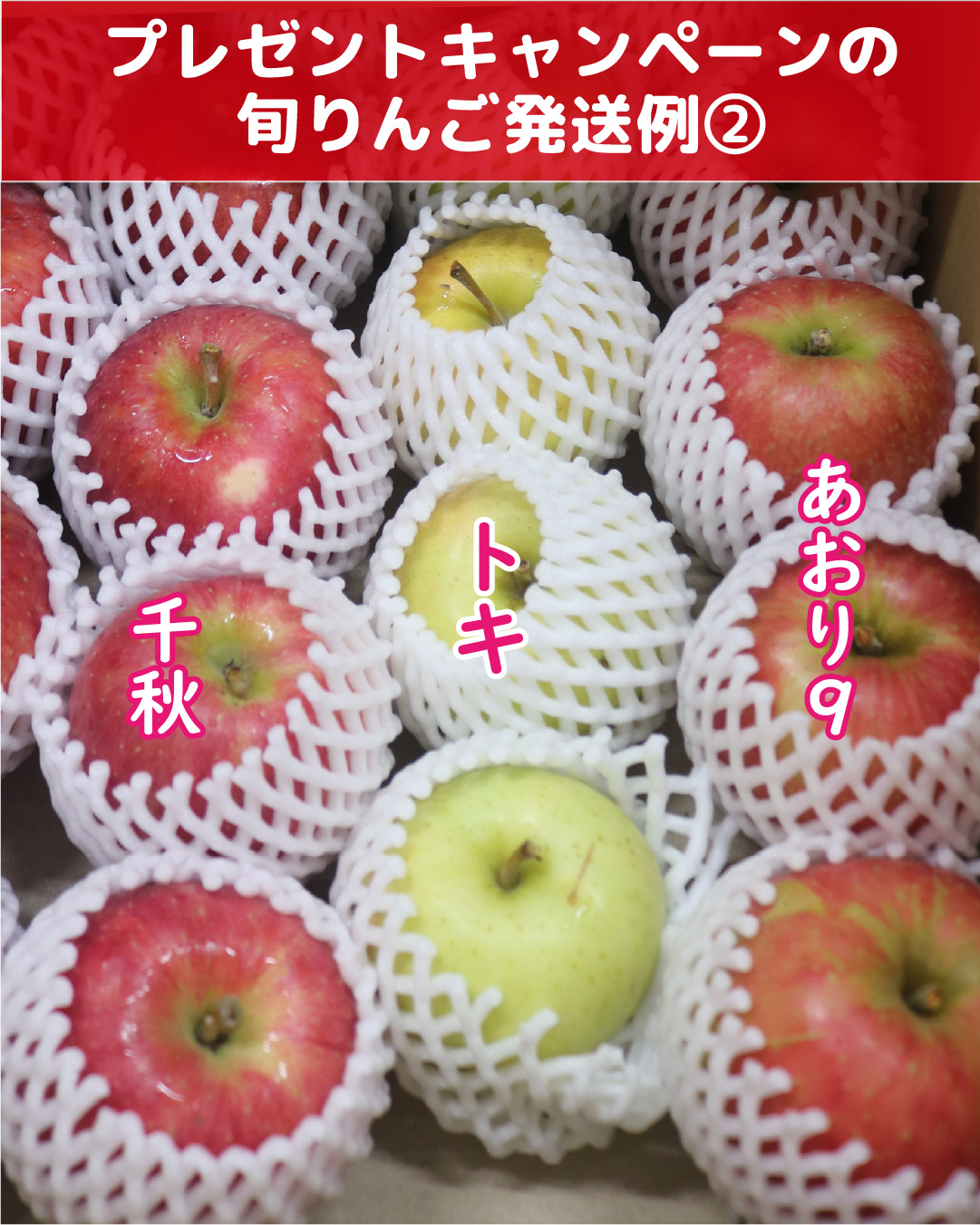 りんご大学 on X: 