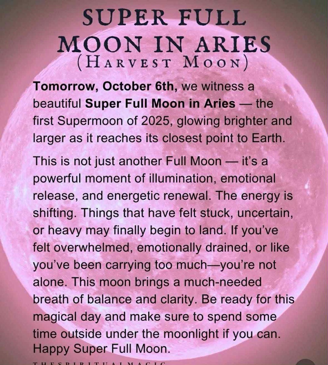 Andrew Reimer tweet media