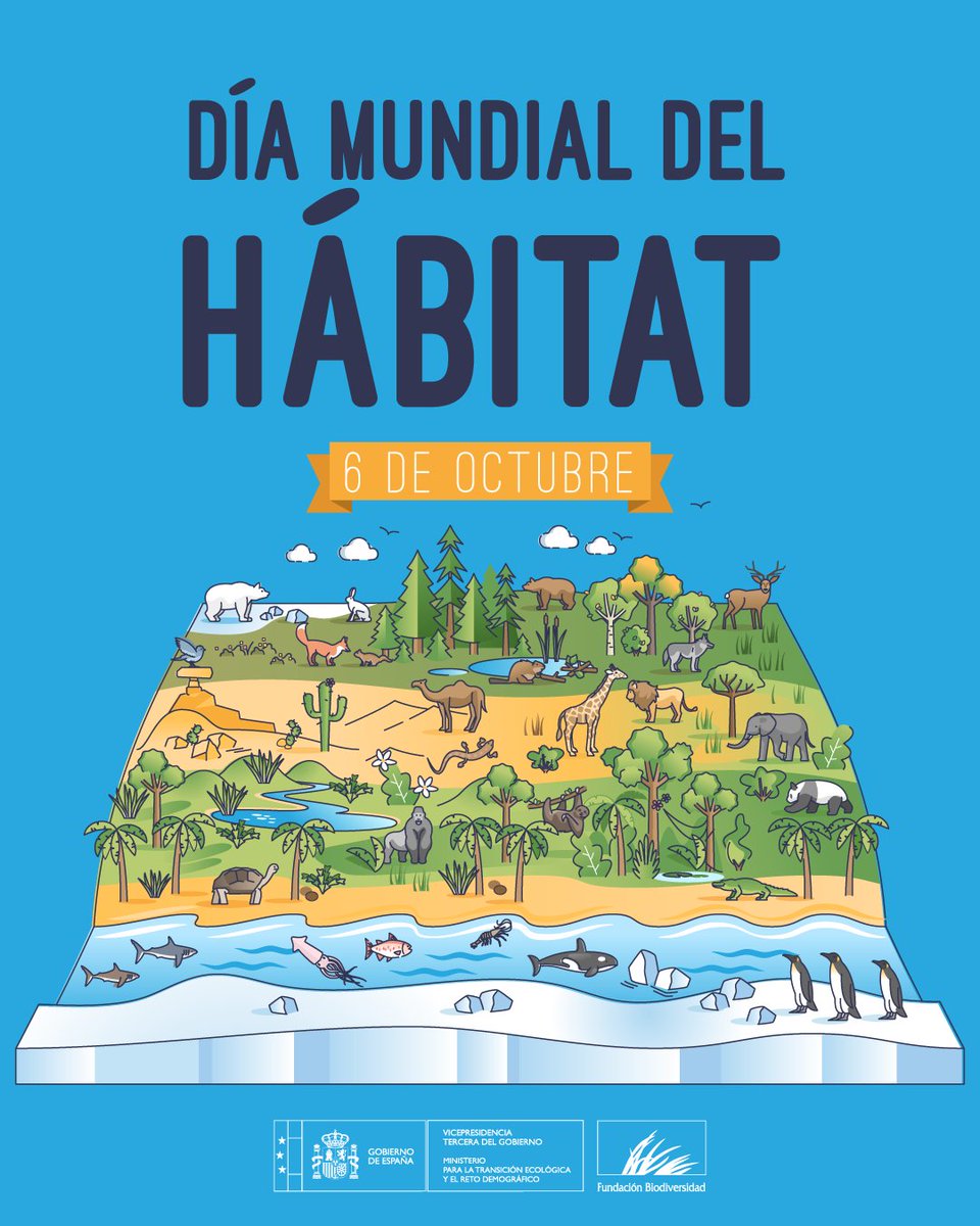 FBiodiversidad's tweet photo. 🌍🏞️ En el #DíaMundialdelHábitat recordamos la importancia de conservar los entornos naturales que sustentan la vida en el planeta.

Cada especie necesita un hábitat donde encontrar alimento, refugio y las condiciones adecuadas para sobrevivir. https://t.co/rfWMJhHJFc