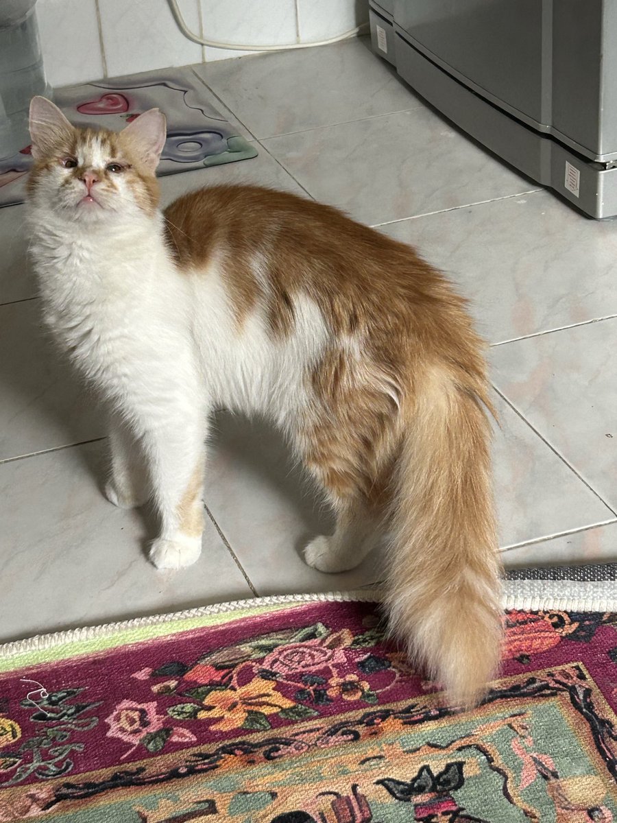 Hakkımda şiddet iddiaları varmış, göremediğim için elim ÇARPMIŞ o kadar…