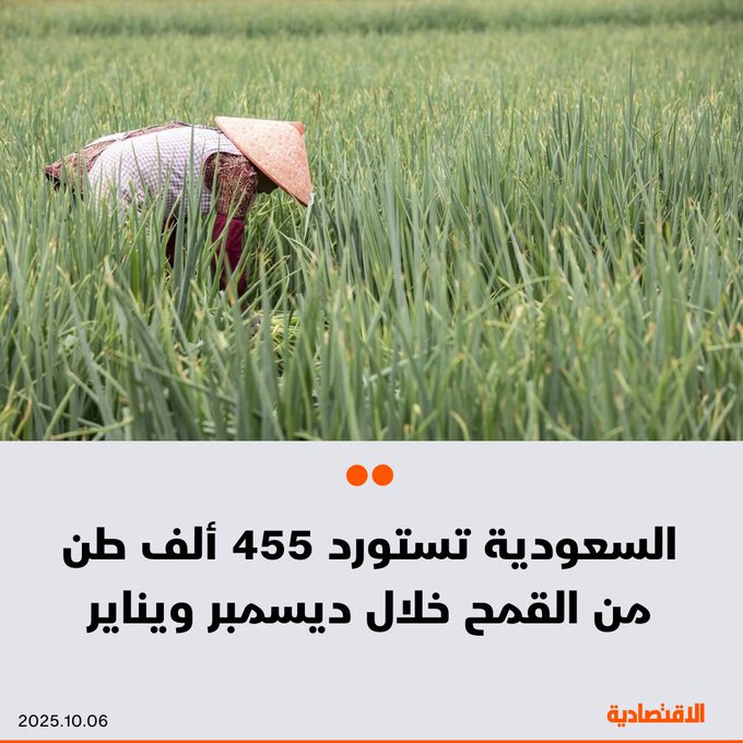"الأمن الغذائي" في السعودية تتم ترسية استيراد 455 ألف طن من القمح، للحفاظ على المخزون عند المستويات الآمنة وتلبية احتياجات شركات المطاحن. سابل ستستلم الكميات المجدول وصولها بين ديسمبر ويناير المقبلين، حيث تم ترسية 3 شركات كانت عروضها الأقل سعرا ومطابقة للمواصفات 