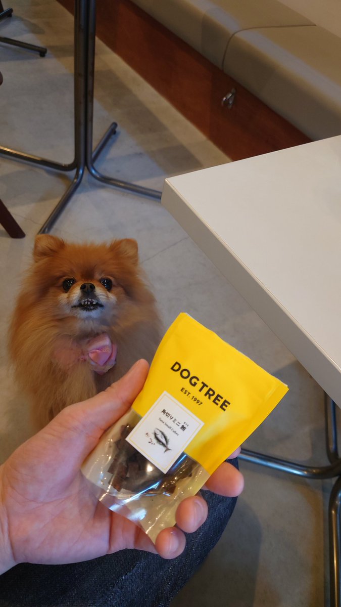 ワンコ連れで休日のカフェはしご。
ROYCafeでお茶を堪能、
ワンコのおやつも購入。