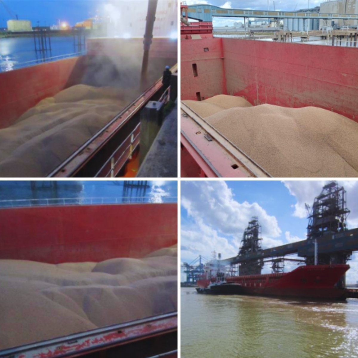 Frontier Agriculture tweet media