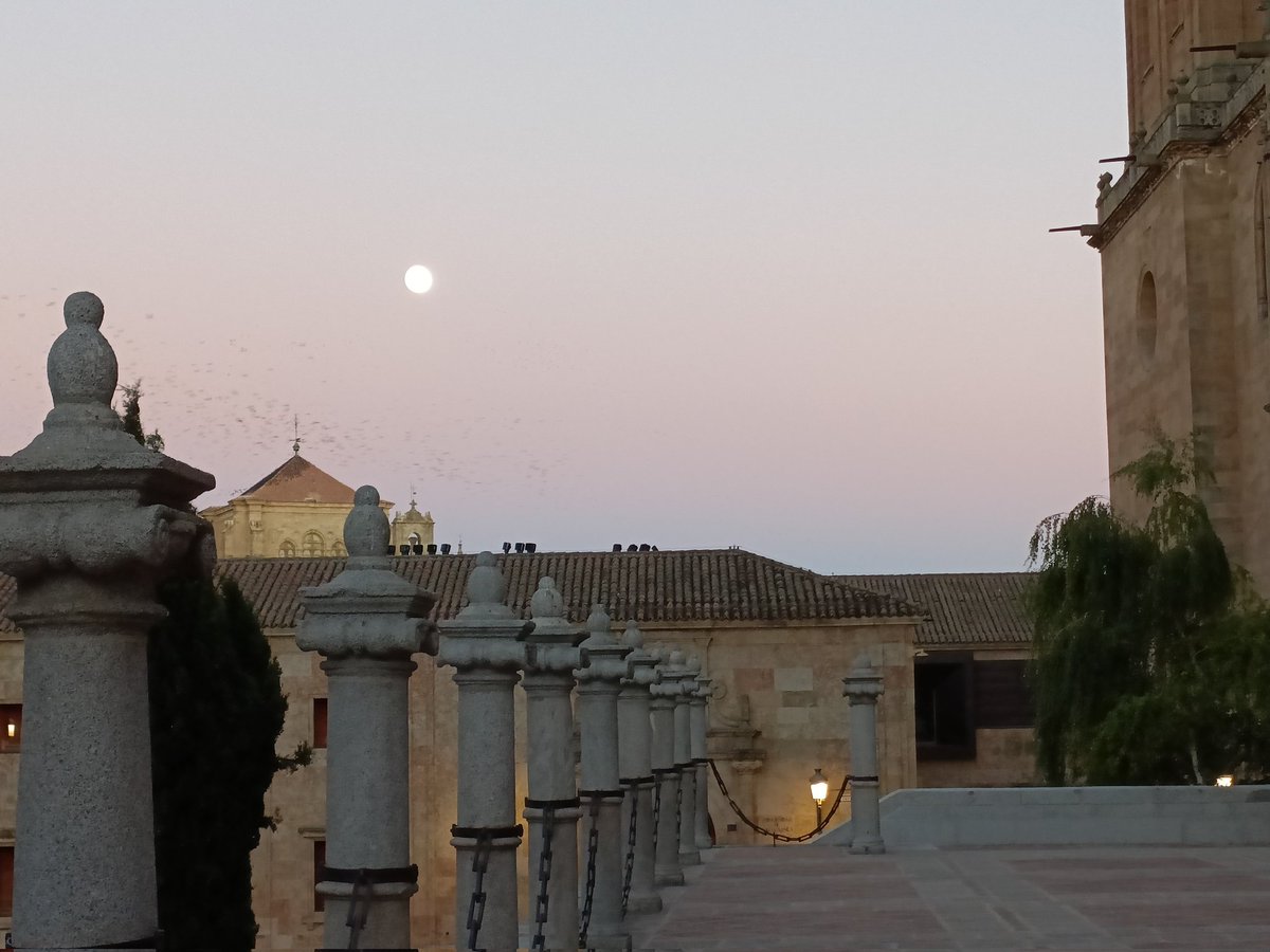 Ana López (@analopezfar) on Twitter photo 