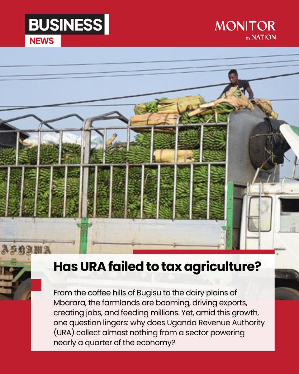 URA data indicates that agriculture contributes about 23.8 percent of Uganda’s GDP, but less than 1 percent of total tax revenue 

Read: bit.ly/48cBDJe?utm_me… 
#MonitorUpdates