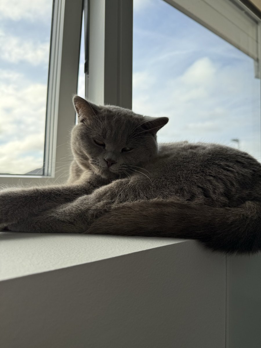 Thank you for getting me home <a href="/Edelweiss_Air/">Edelweiss Air</a> I missed my babies