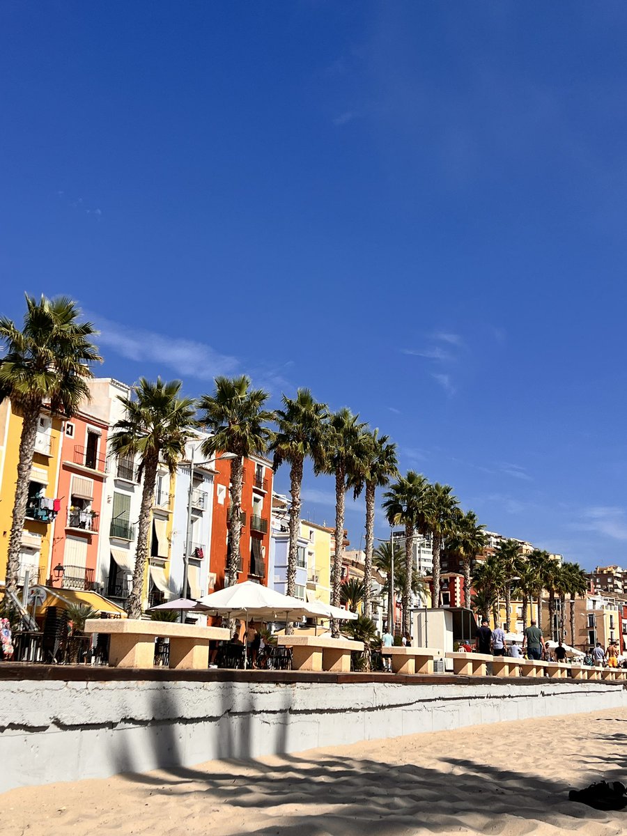 Stellar★ tweet media