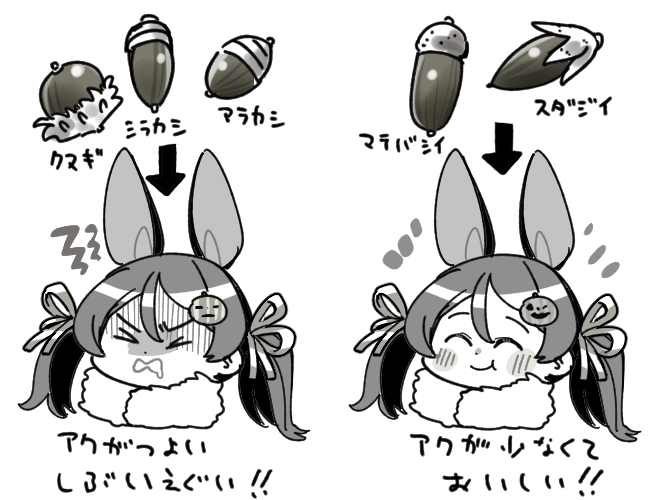 どんぐり!!! 