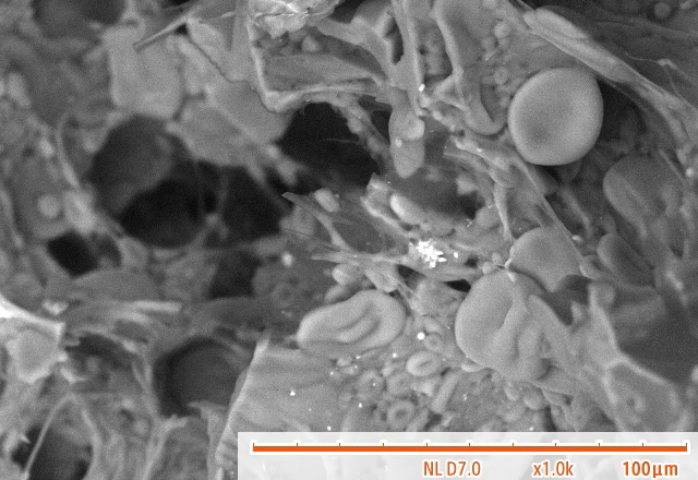 Hitachi_EM's tweet image. Happy National Noodle Day ! 🍜🍝
(October 6)
#ElectronMicroscope #electronmicroscopy #NationalNoodleDay
SEM of Instant Noodles
Find out more here: hitachi-hightech.com/global/science…