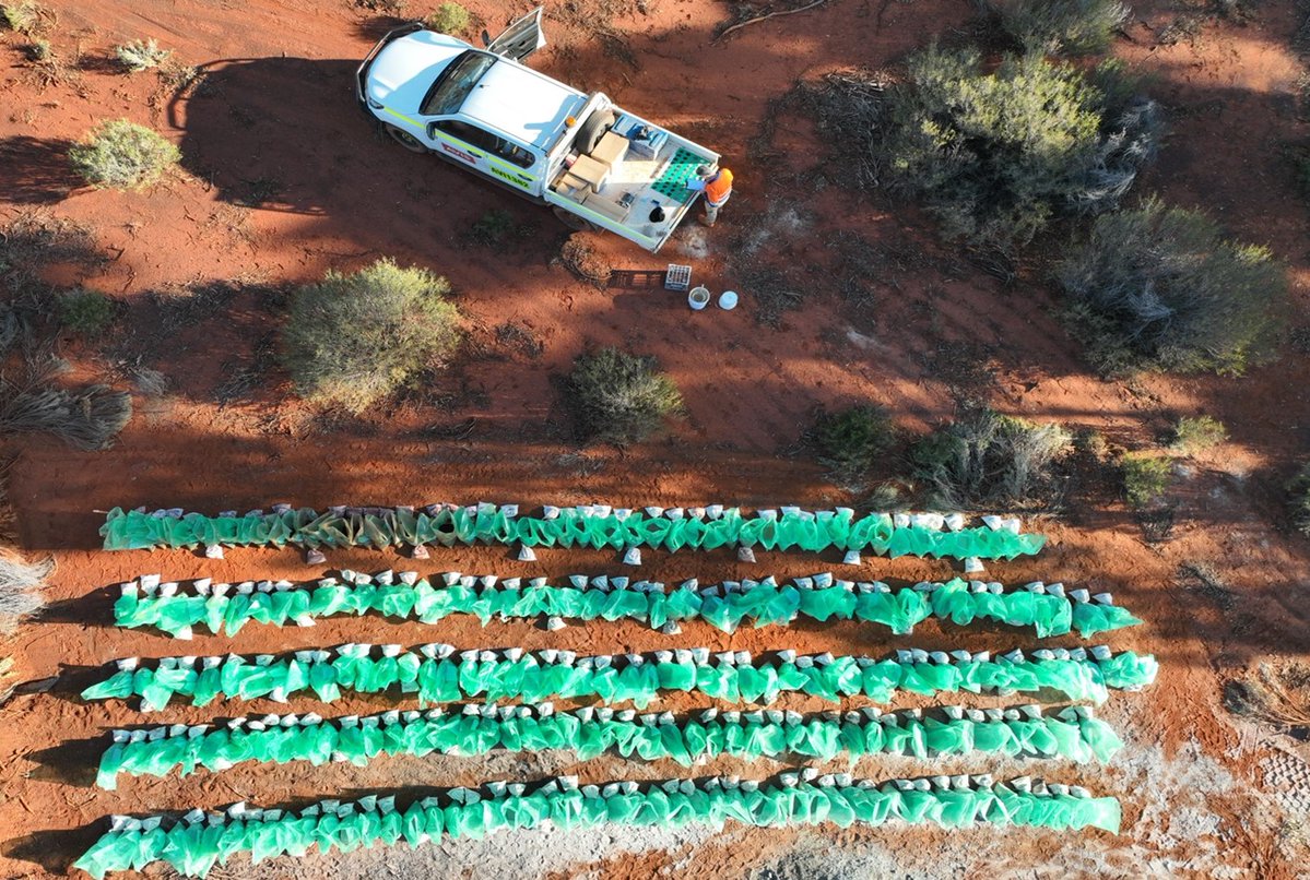 Share_Talk's tweet image. @OraclePowerPlc has booked a grade control drill rig from Australian Surface Drilling for its Northern Zone Gold Project in Western Australia 🇦🇺 The #ORCP drilling programme, scheduled to begin in three weeks, is designed to expand the project’s mineralised footprint.
The…