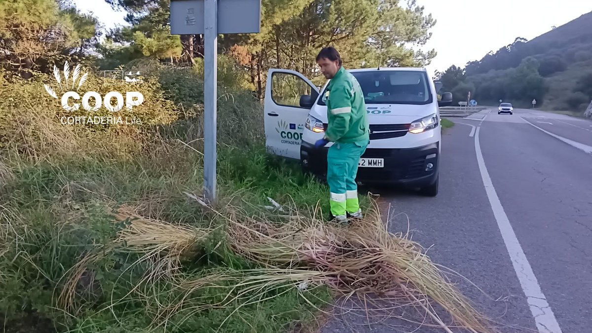 stopcortaderia's tweet photo. 🌾 Las brigadas #COOPCortaderia, esta vez de @AMPROSCantabria siguen trabajando en Liencres, eliminando Cortaderia dentro del Proyecto LIFE Coop Cortaderia.
La semana pasada actuaron en el barrio de Tolío, donde ¡cada vez vemos menos #plumeros! 👏🌿
#lifeprogramme https://t.co/2Yc5WegoOa