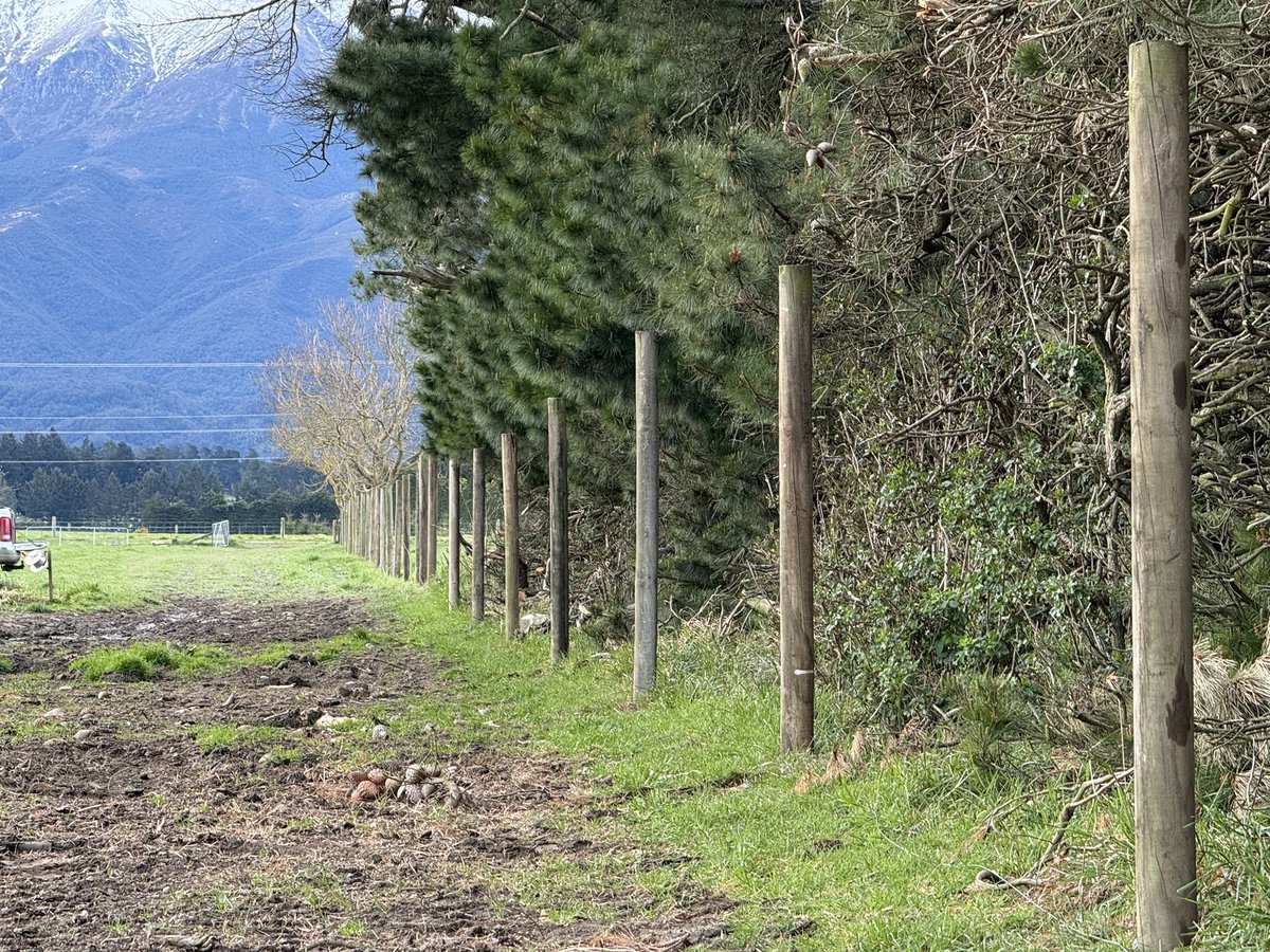 Set stocking time for hinds is still ages away right….