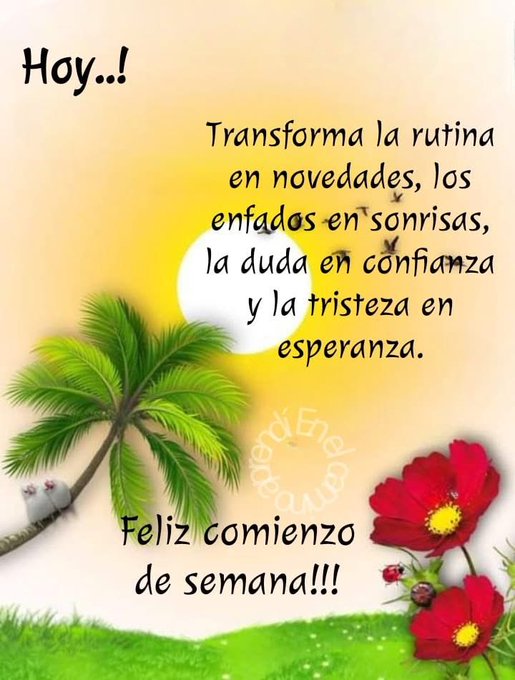 A palm tree with green leaves and a visible sun in the background. Red flowers are positioned on the right side. Text overlays include "Hoy!!", "Transforma la rutina en novedades, los enfados en sonrisas, la duda en confianza y la tristeza en esperanza.", and "Feliz comienzo de semana!!!".