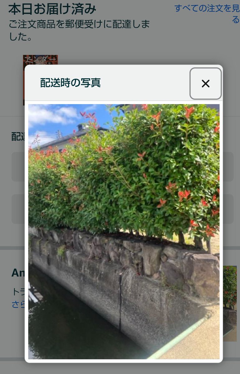 スマホに送られてくる置き配完了の画像、いつもなら自転車のかごとか玄関先とかに商品が置かれている画像なのですが、これはいったいどこに配達されたのでしょう。中身がアンダーニンジャの最新刊だけに、木の葉隠れなのか・・・？