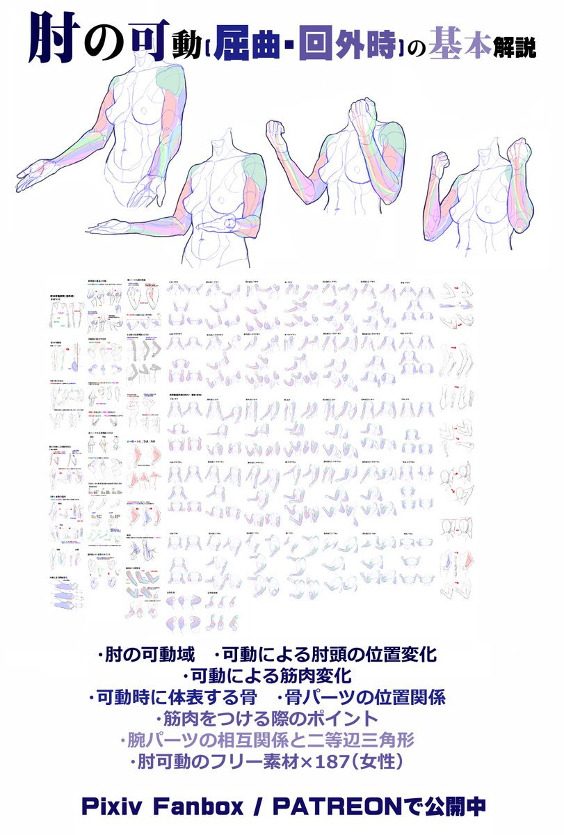 個人メモ：肘

肘の可動・屈曲(回外時)の基本
FANBOX
mangamaterials.fanbox.cc/posts/558141
Patreon
patreon.com/posts/zhou-nok…

■EN
Movement of the elbow: (supinated)
FANBOX
mangamaterialsen.fanbox.cc/posts/570724
Patreon
patreon.com/posts/movement…

■中文
肘部可动・屈曲(旋后时)的基本
Patreon
patreon.com/posts/zhou-bu-…