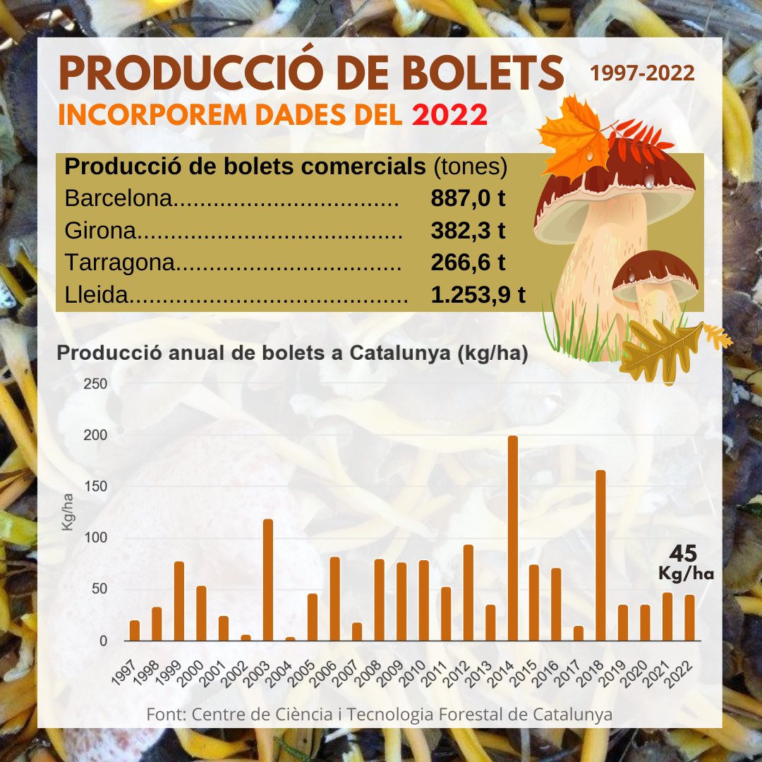 Observatori Forestal Català tweet media