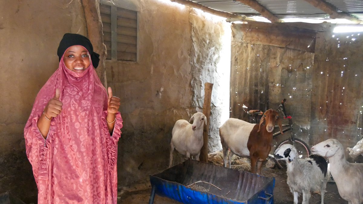 PNUDBenin's tweet image. Dans le cadre du projet transfrontalier #PEV Benin-Niger, près de 300 bénéficiaires (156🚺) ont été appuyés à Kandi, Malanville &amp;amp; Karimama à travers des activités à haute intensité de main-d’œuvre &amp;amp; des activités génératrices de revenus financées via l’approche 3x6. 

#ODD16