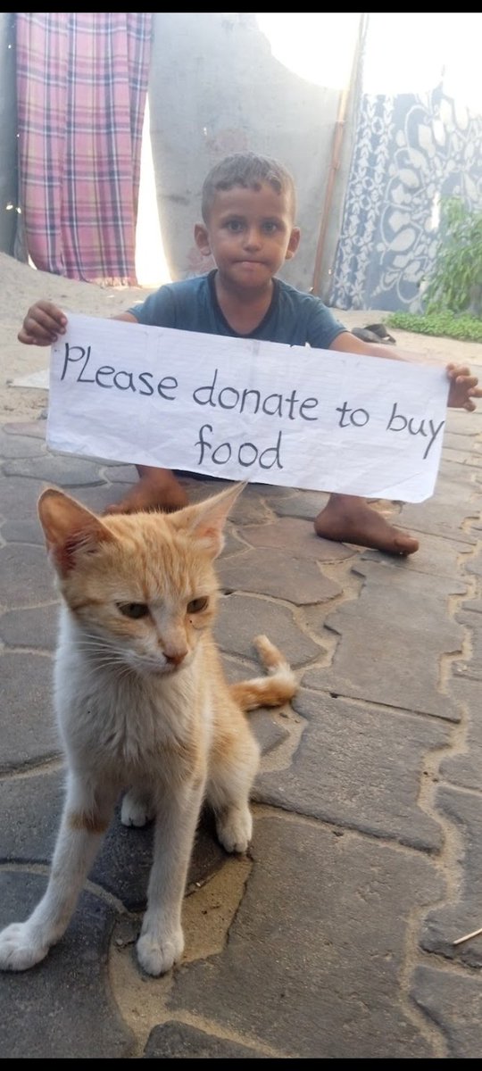 It hurts so much when you look at your children and find nothing to feed them. 💔 The food has run out and we are 94 euros away from achieving the goal and feeding my children. 🥺 If you pass by here, put (⚫). It's just a dot, but it means you are with us
gofund.me/670c8223