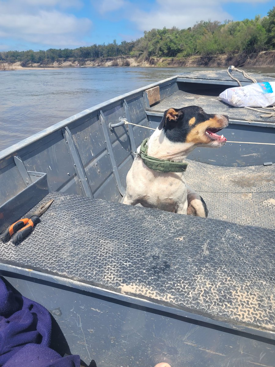 Buen día Orientales; 15 grados por acá,  bueno el tiempo. La foto , el Tinú :" serio como cusco en bote ¡ vamos!