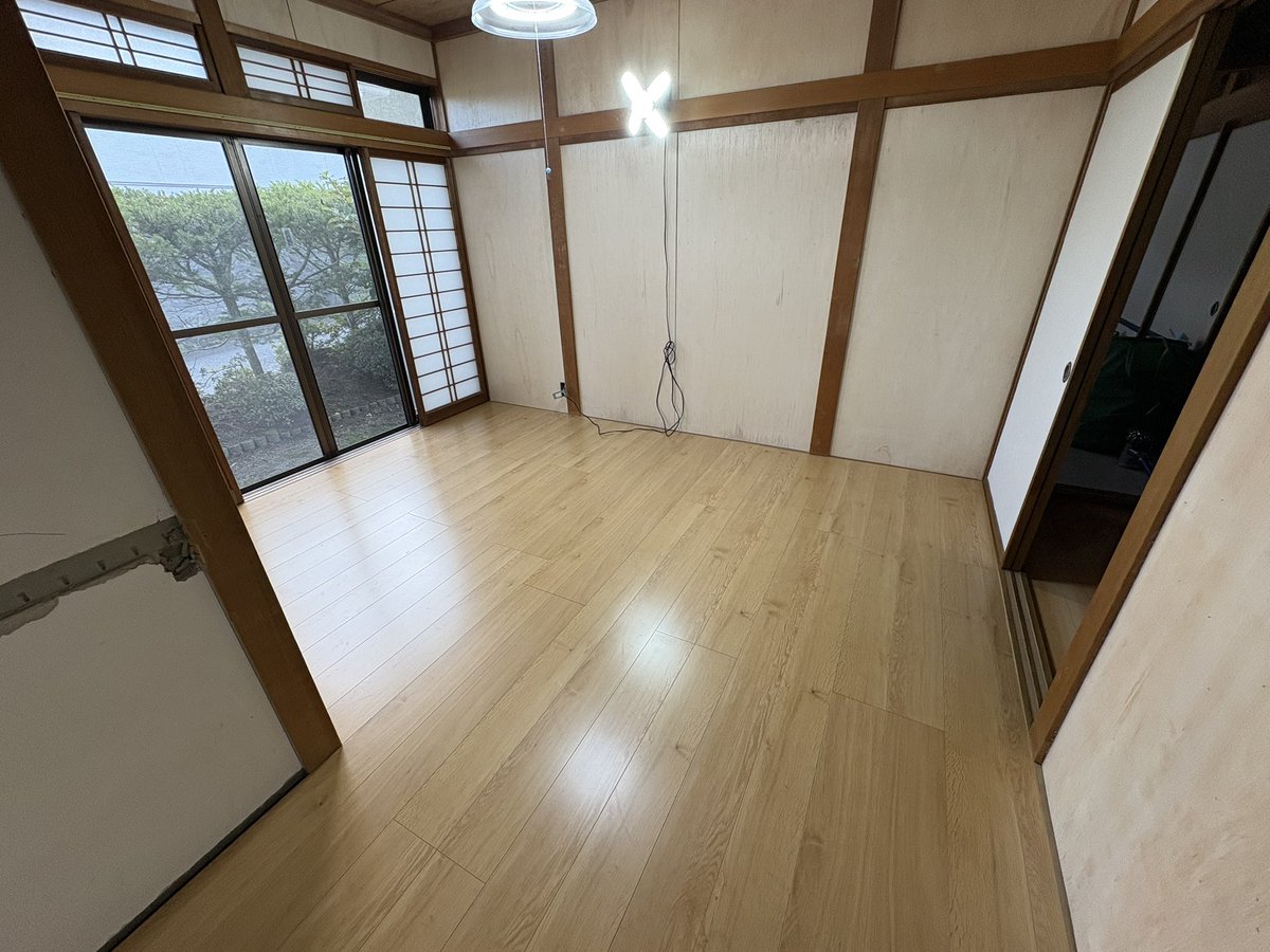 フローリング張りをマスターしました🐻🪚✨