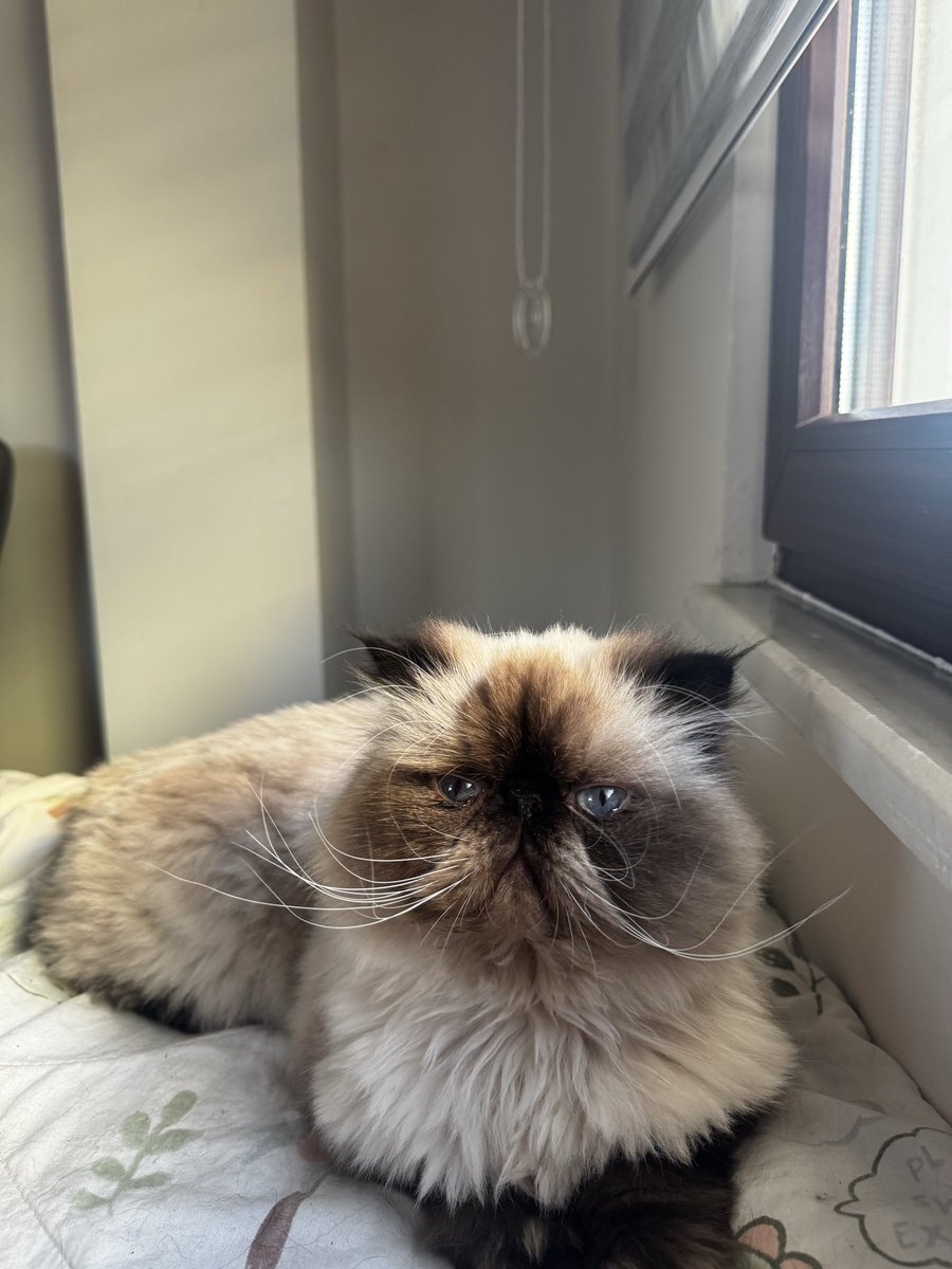 cattingwoman's tweet image. bu bebek bu akşam yuvaya gidiyor