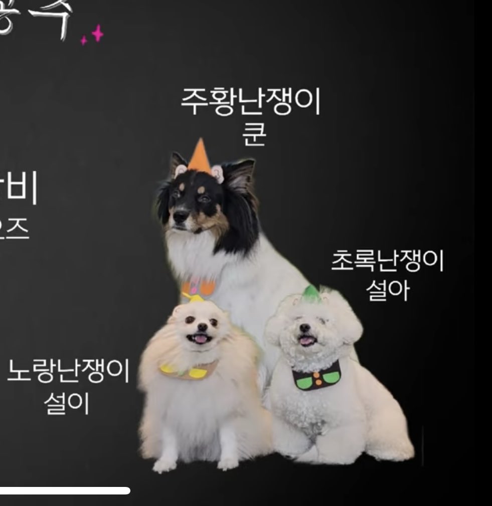 님들아 모두 집중 좀 해주셔들
우리 애가 유치원에서 연극을 했거덩요
풀영상은 나중에 후원형태로 공개된답니다
시청료는 모두 기부하실 예정이래요
슨생님들이 피땀눈물이 담긴 백설공주 연극 많관부

설이를 사랑하는 임머들 약간 힘 좀 쓰셔봐들