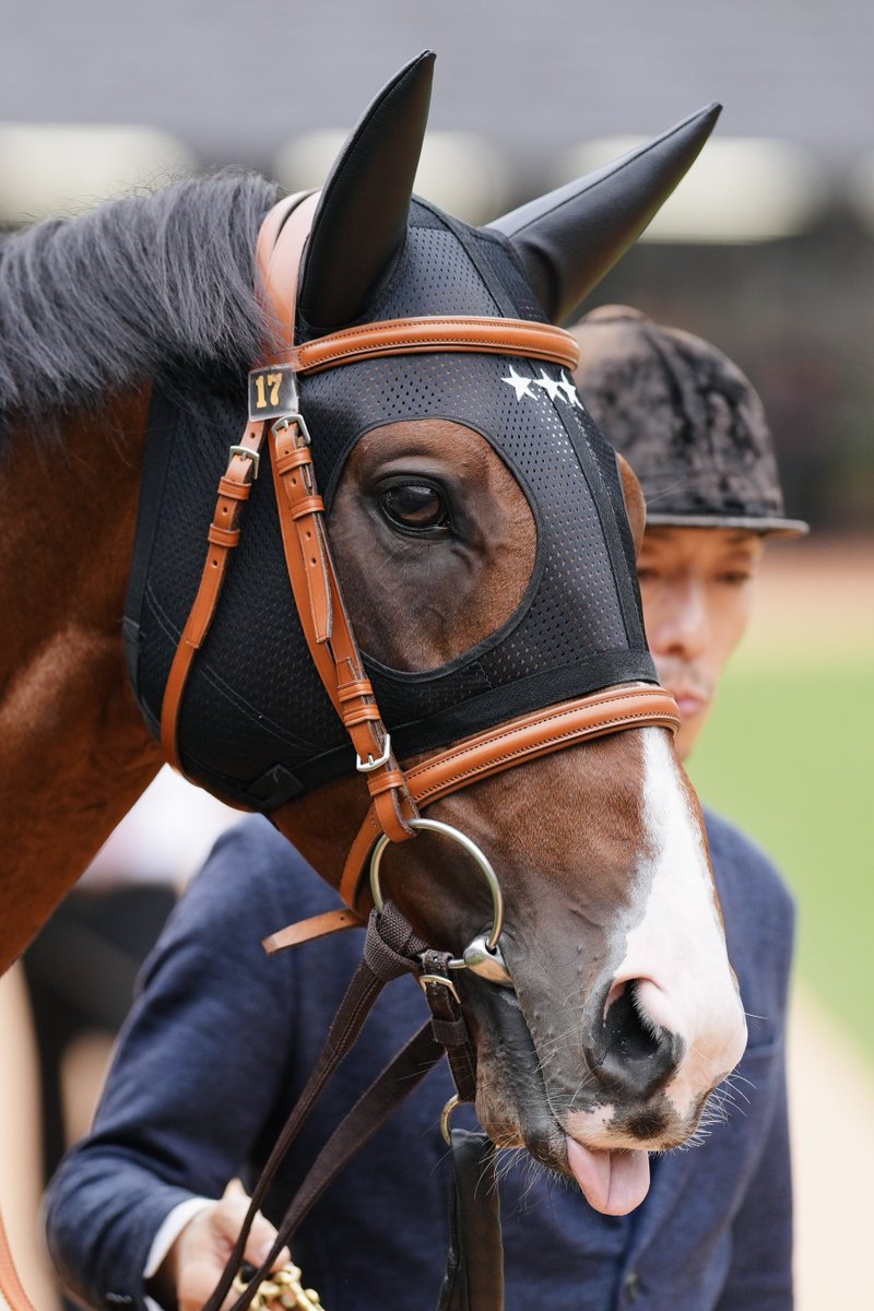 E3%82%A2%E3%83%AB%E3%83%8A%E3%82%B7%E3%83%BC%E3%83%A0