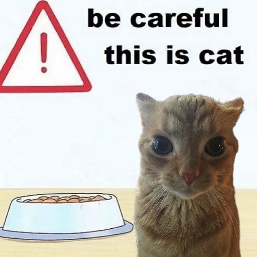 GaK (@gakstercat) on Twitter photo 