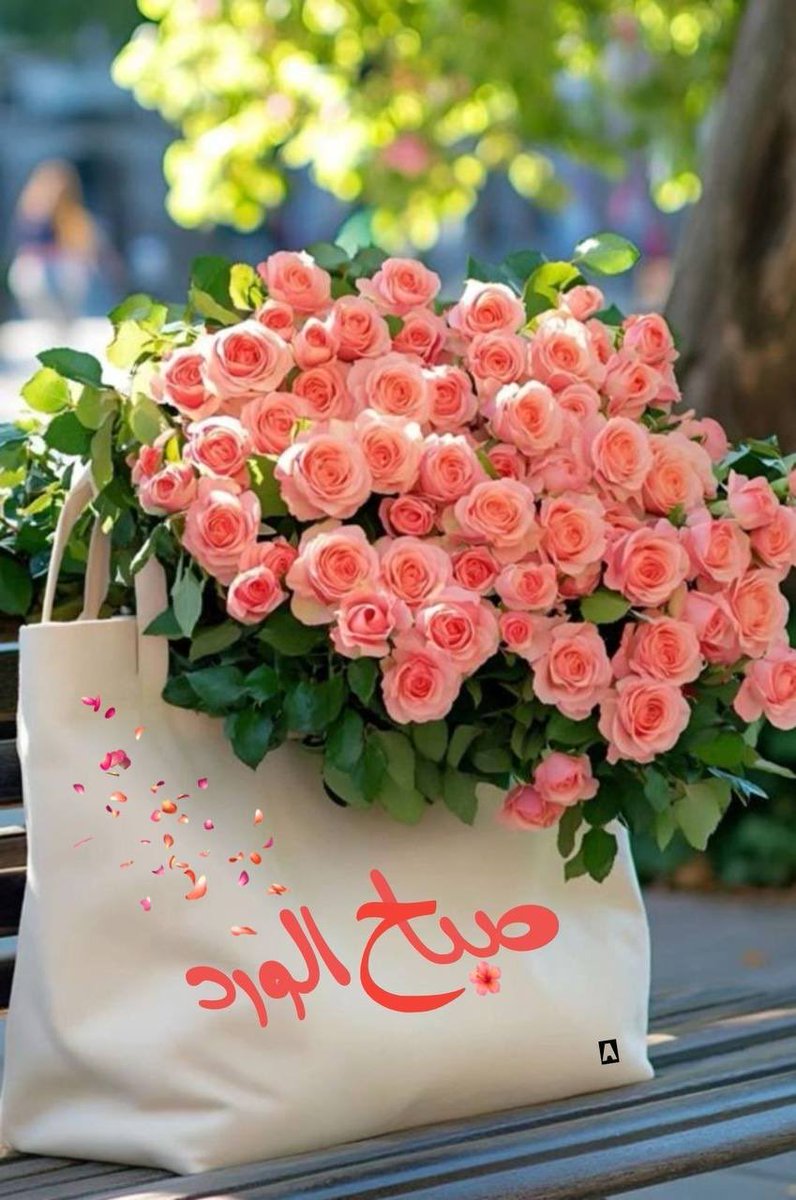 #صباح_الخيرᅠ

اللهم جمّل صباحنـــا بذكرك وعفوك وتوفيقك وبركاتك 
وسترك وعافيتك ورضاك عنّا ⚓️