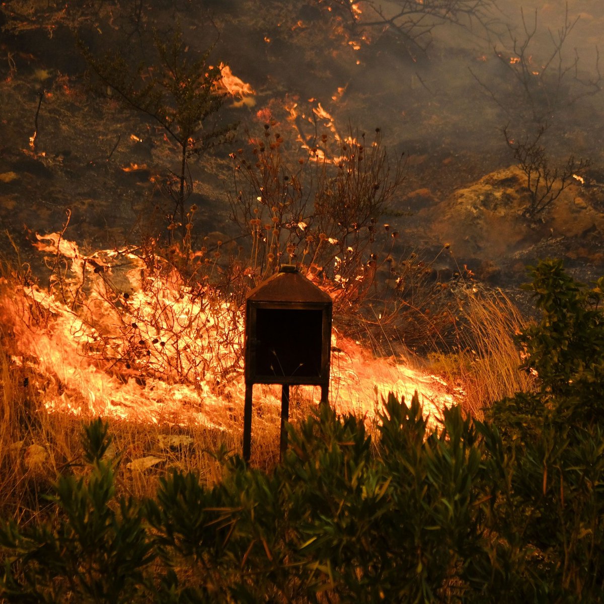 AtlaiWorld's tweet image. Namibia&apos;s latest fire incident in Omusati highlights ongoing challenges with shifting agriculture and wildfires. #NamibiaFire #EnvironmentalConcern #ATLAI #ChartAGreenPath #togetherforhumanity
atlaiworld.com/alerts/04-10-2…