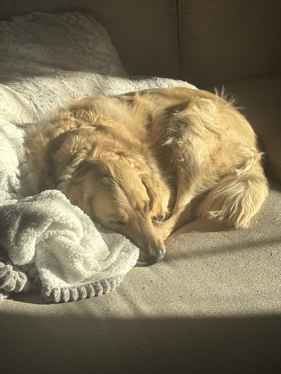 Bruce Nolan tweet media