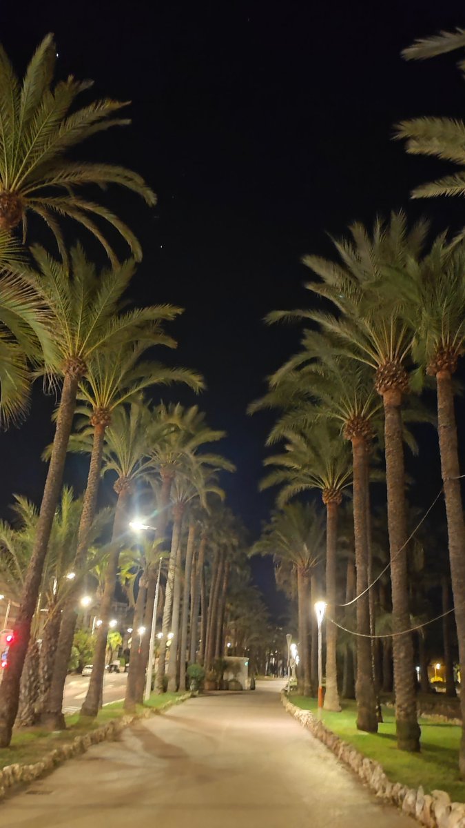 Voilà c'est ouvert. Tu prends le relais mon René <a href="/ReneTombarel/">tombarel rené</a> . Tout est parfait pour 📸📸 , ne touche pas à ma lune