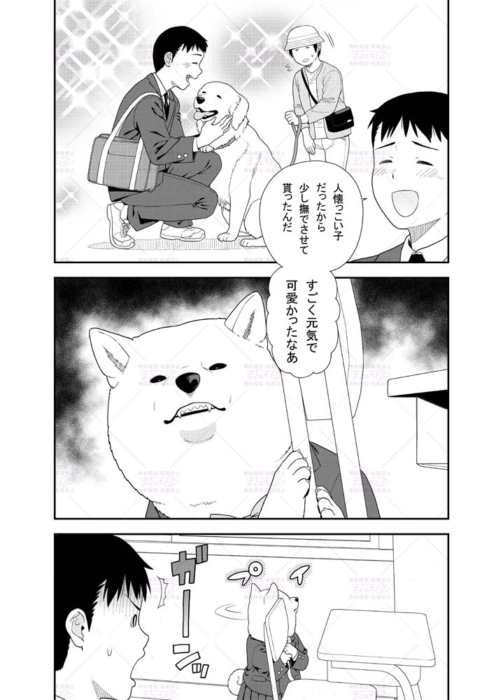 (2/3) 