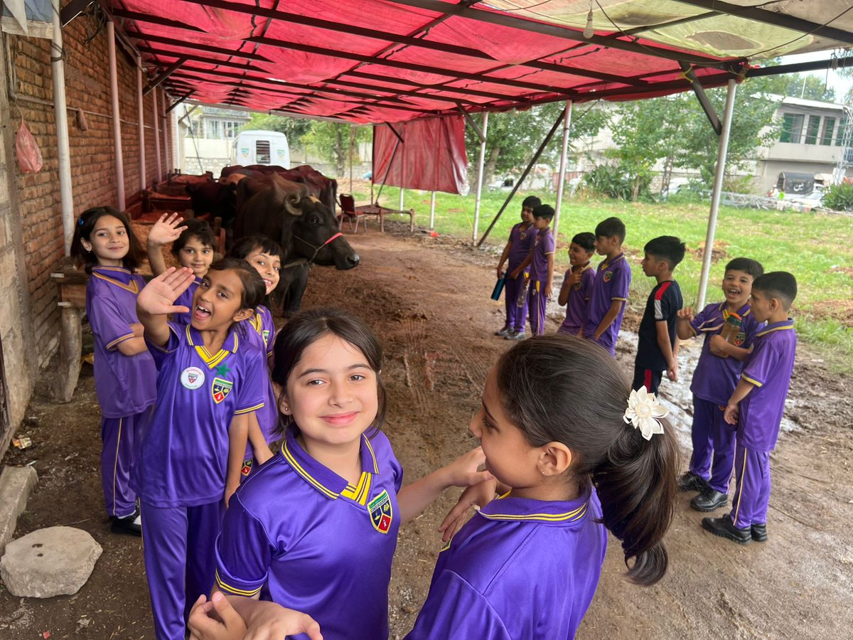 Modernage7's tweet photo. Grade 2 students enjoyed a fun-filled farm visit.
They explored corn &amp; wheat fields and met farm animals.
A day of learning about farming and daily life connections.

#FarmVisit #Agriculture #TownshipCampus #Modernage #Pakistan https://t.co/qAfR861Q1n