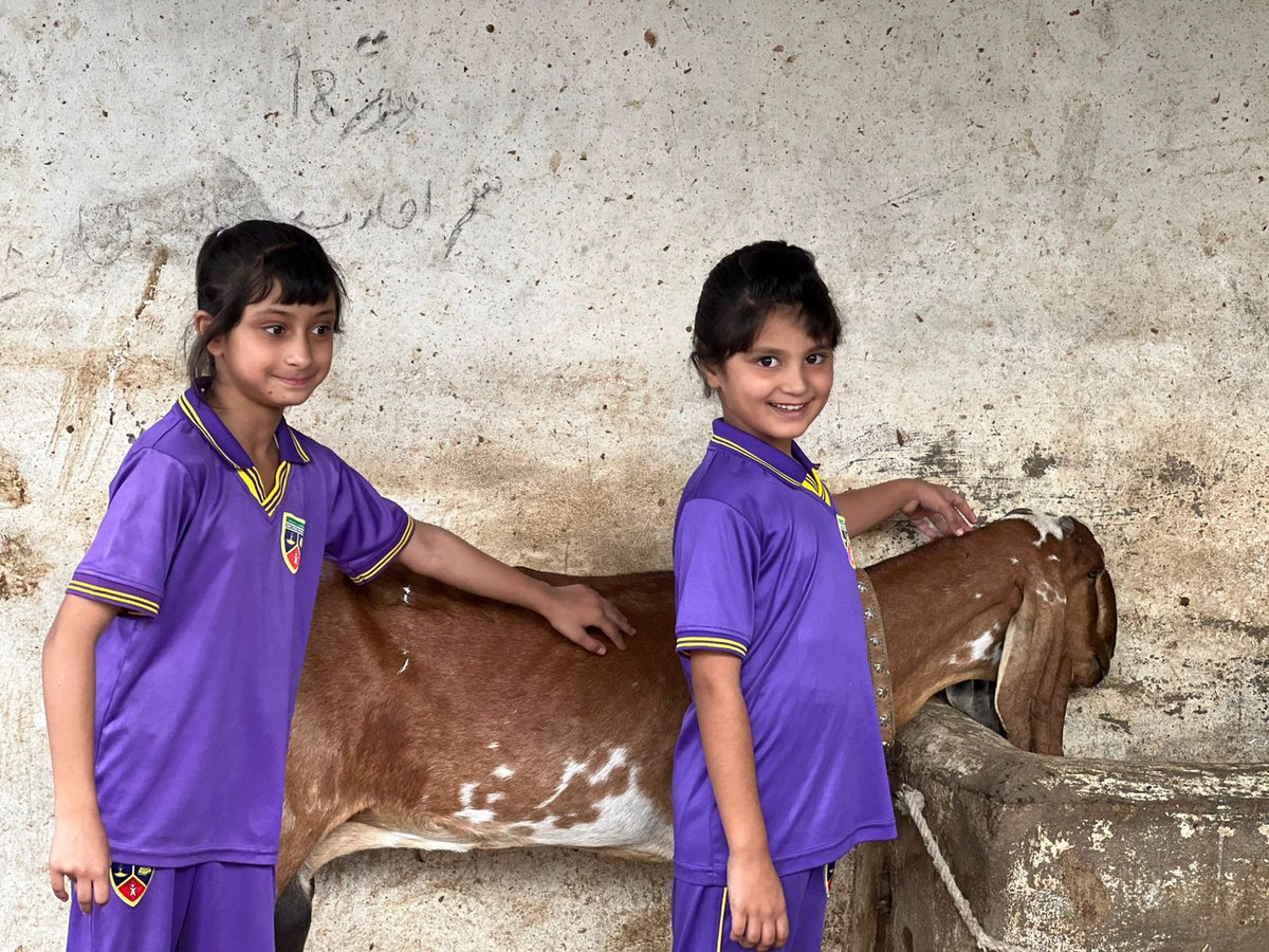 Modernage7's tweet photo. Grade 2 students enjoyed a fun-filled farm visit.
They explored corn &amp; wheat fields and met farm animals.
A day of learning about farming and daily life connections.

#FarmVisit #Agriculture #TownshipCampus #Modernage #Pakistan https://t.co/qAfR861Q1n