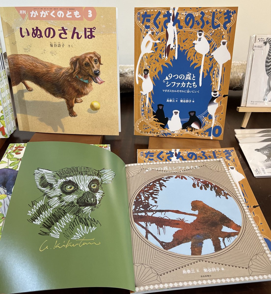 たくさんのふしぎ 40冊セットC まとめ売り たくさんのふしぎ 40冊セットC まとめ売り 福音館書店 販売部 on X: