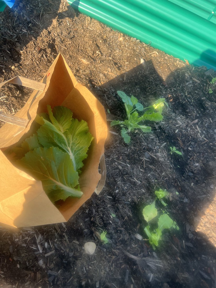 Dr. Masters tweet media