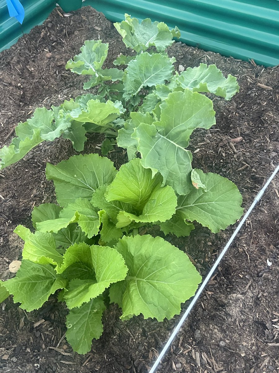 Dr. Masters tweet media