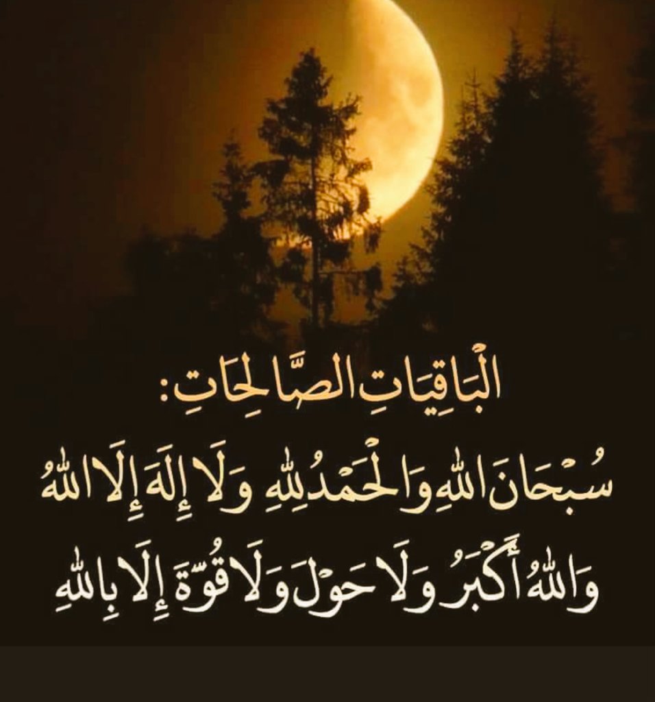 tweetme2845's tweet photo. وأخرج ابن مردويه عن أبي هريرة قال : قال رسول الله صلى الله عليه وسلم : "إن عجزتم عن الليل أن تكابدوه، والعدو أن تجاهدوه، فلا تعجزوا عن قول : سبحان الله، والحمد لله، ولا إله إلا الله، والله أكبر، فإنهن الباقيات الصالحات . https://t.co/7N9m1k7wDF