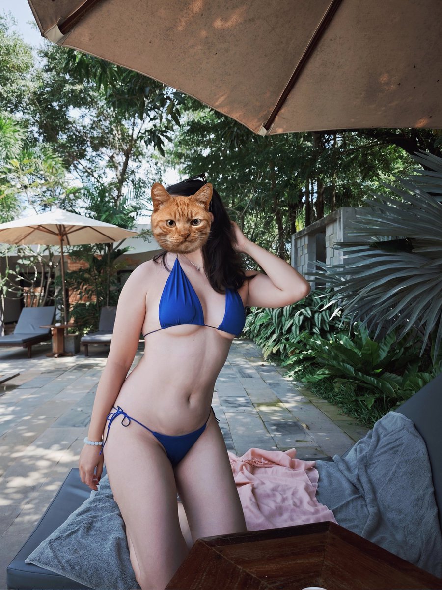 吃饱了才有力气减肥