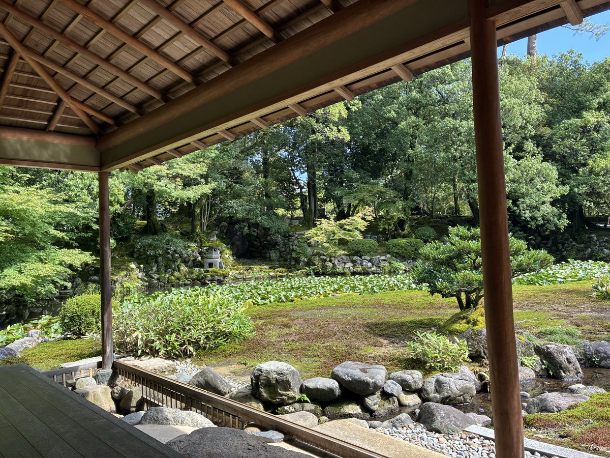 最終日は兼六園観光✨
高低差を利用した川が素敵で後楽園とはまた違った良さがありますね😊

 #岡山サポ新潟遠征