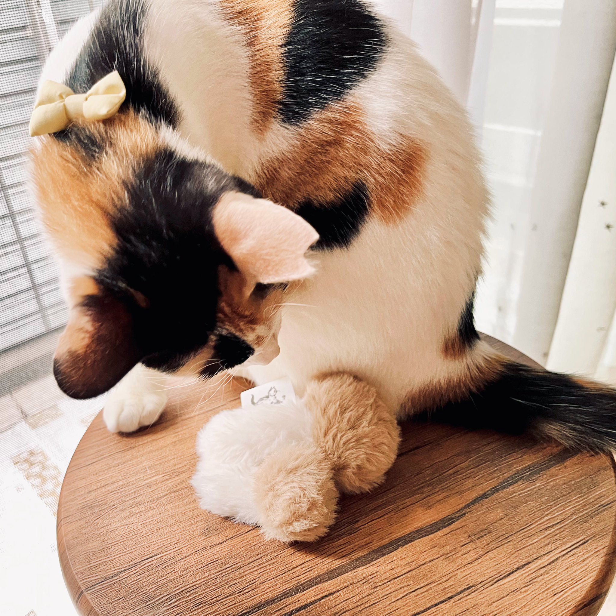 三毛猫様 リクエスト 9点 まとめ商品 三毛猫様 リクエスト 9点 まとめ商品