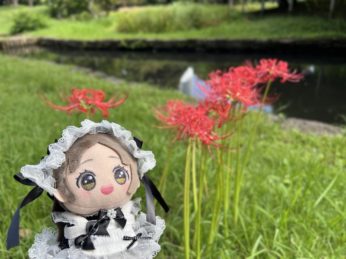 2Tu's tweet photo. #初星学園ぬいぬい部 https://t.co/f1J68R1iFG