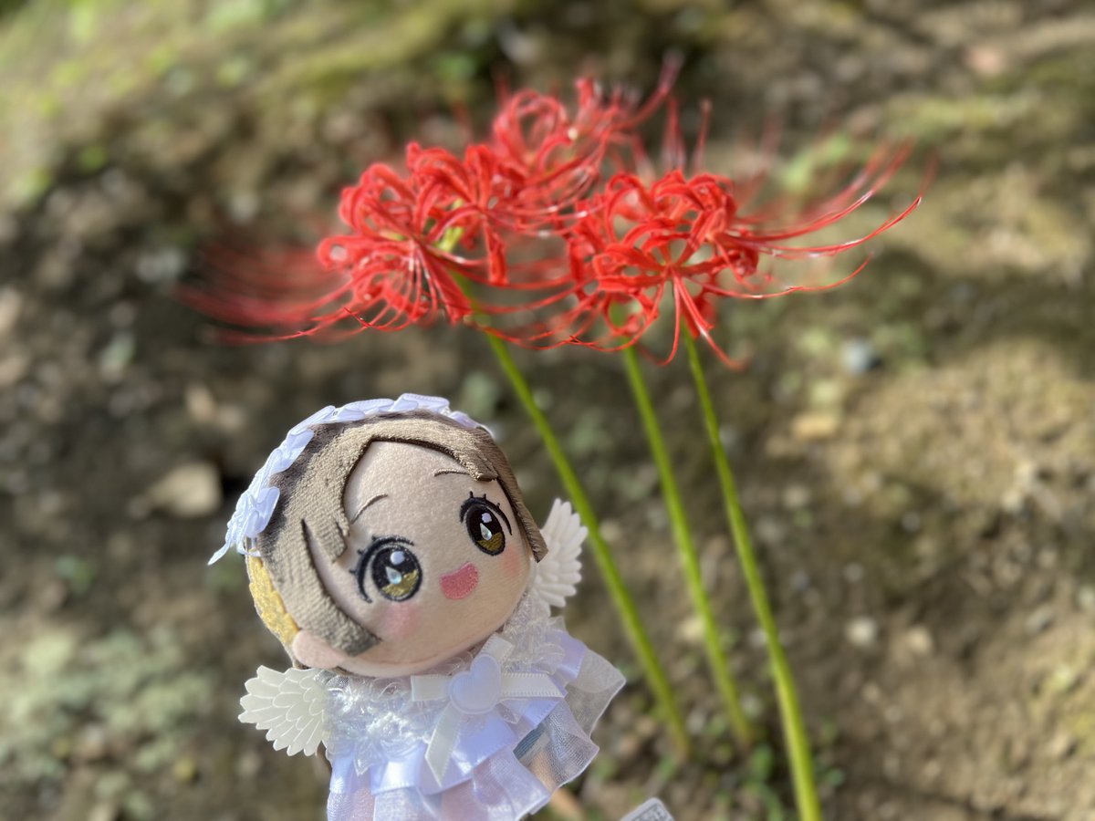 2Tu's tweet photo. #初星学園ぬいぬい部 https://t.co/f1J68R1iFG